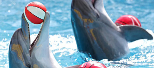 Parcs aquatiques de France